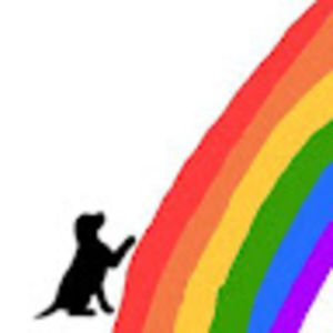 Meet your Posher, Audrey